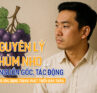 Nguyên lý Chùm Nho là gì? Nguồn gốc, tác động và ứng dụng trong phát triển bản thân.