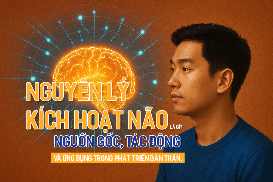Nguyên lý Kích Hoạt Não là gì? Nguồn gốc, tác động và ứng dụng trong phát triển bản thân.